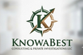 Security Consulting